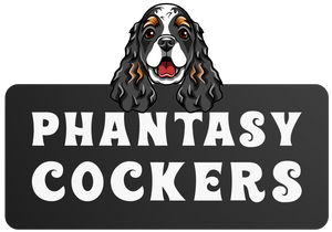 Phantasy Cockers